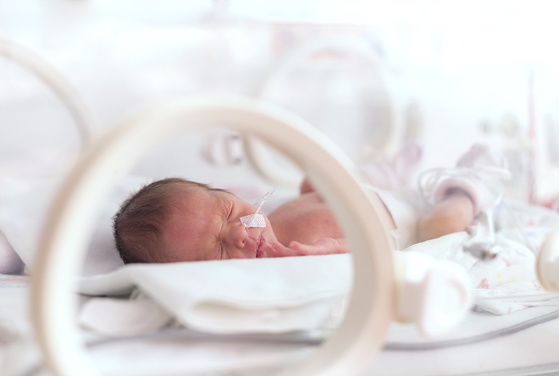 Premature newborn  baby girl in the hospital incubator after c-section in 33 week